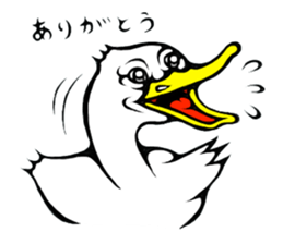 The long-faced KOALA Part6 sticker #5632652