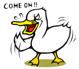 The long-faced KOALA Part6 sticker #5632660