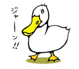 The long-faced KOALA Part6 sticker #5632672