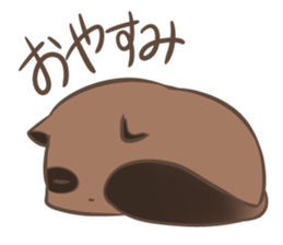 a rest raccoon dog sticker #5633044