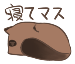 a rest raccoon dog sticker #5633045
