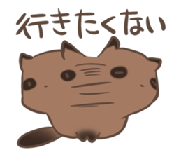 a rest raccoon dog sticker #5633052