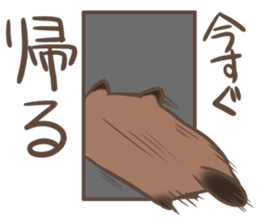 a rest raccoon dog sticker #5633054