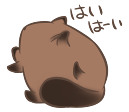 a rest raccoon dog sticker #5633067