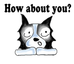 Mr.Very! Part 2 border collie sticker #5634785