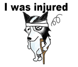 Mr.Very! Part 2 border collie sticker #5634802