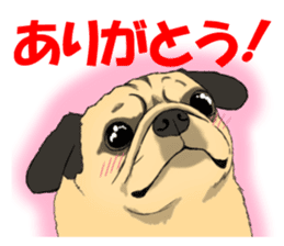 Pug dog Sticker sticker #5636688