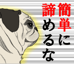 Pug dog Sticker sticker #5636693