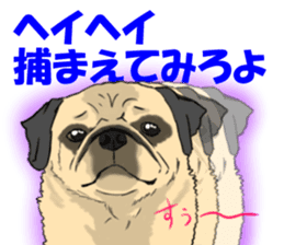 Pug dog Sticker sticker #5636698
