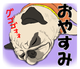 Pug dog Sticker sticker #5636718