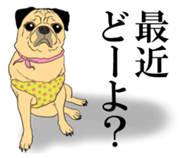 Pug dog Sticker sticker #5636719