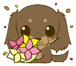 Dachshund tan 2 sticker #5637584