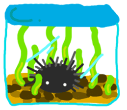 sea-urchin sticker #5641242