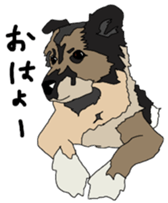 Tanaka family dog Akira sticker #5641444
