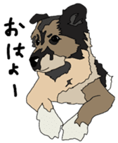 Tanaka family dog Akira sticker #5641444