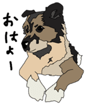 Tanaka family dog Akira sticker #5641444