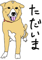 Tanaka family dog Akira sticker #5641449