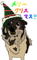 Tanaka family dog Akira sticker #5641459