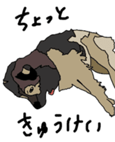 Tanaka family dog Akira sticker #5641463