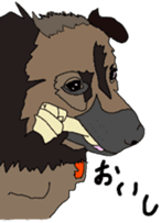 Tanaka family dog Akira sticker #5641469