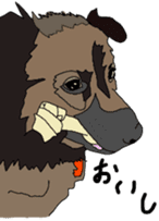 Tanaka family dog Akira sticker #5641469