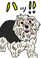 Tanaka family dog Akira sticker #5641475