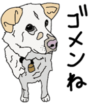 Tanaka family dog Akira sticker #5641479