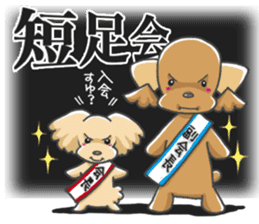 Tocotoco poodle brothers and friends sticker #5641623