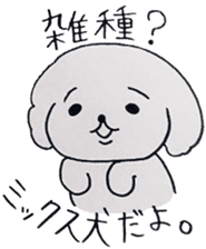 My dog Rin sticker #5642466