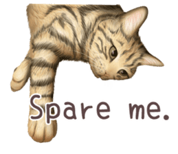 zumo cats sticker vol.1 English version sticker #5644005