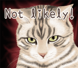 zumo cats sticker vol.1 English version sticker #5644007