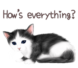 zumo cats sticker vol.1 English version sticker #5644009