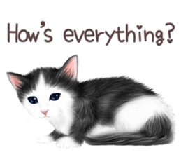 zumo cats sticker vol.1 English version sticker #5644009