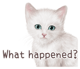 zumo cats sticker vol.1 English version sticker #5644010