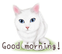 zumo cats sticker vol.1 English version sticker #5644012