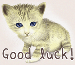 zumo cats sticker vol.1 English version sticker #5644013