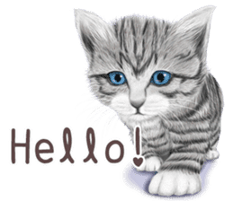 zumo cats sticker vol.1 English version sticker #5644014