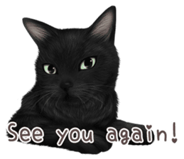 zumo cats sticker vol.1 English version sticker #5644015