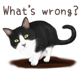 zumo cats sticker vol.1 English version sticker #5644016