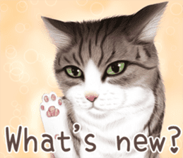 zumo cats sticker vol.1 English version sticker #5644018