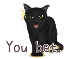 zumo cats sticker vol.1 English version sticker #5644019