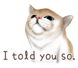 zumo cats sticker vol.1 English version sticker #5644020