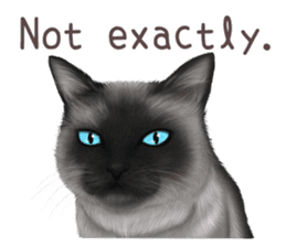 zumo cats sticker vol.1 English version sticker #5644021