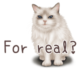 zumo cats sticker vol.1 English version sticker #5644023