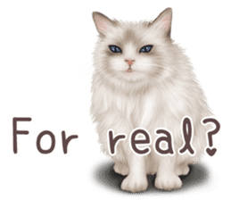 zumo cats sticker vol.1 English version sticker #5644023