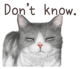 zumo cats sticker vol.1 English version sticker #5644026
