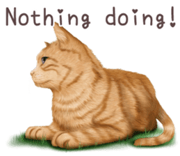 zumo cats sticker vol.1 English version sticker #5644027