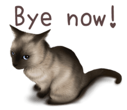 zumo cats sticker vol.1 English version sticker #5644029