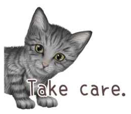 zumo cats sticker vol.1 English version sticker #5644030
