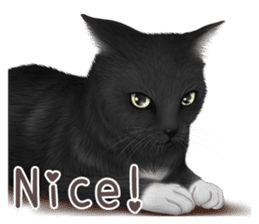 zumo cats sticker vol.1 English version sticker #5644031